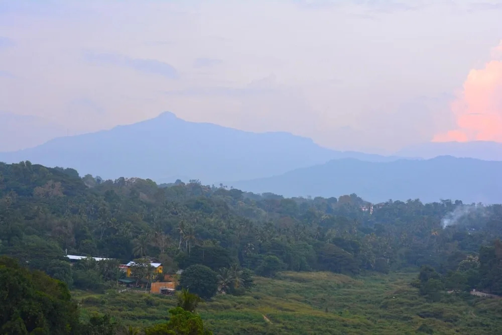 Elegance Range Resort - Général