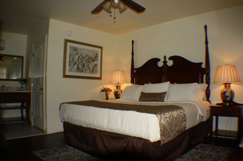 Historic Mardi Gras Inn by null