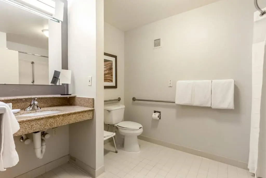 Courtyard by Marriott Dallas DFW Airport South/Irving - Chambres