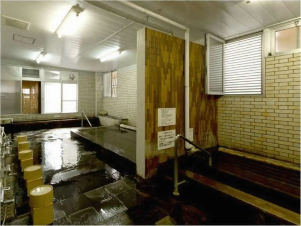 Hitoyoshi Ryokan - Général