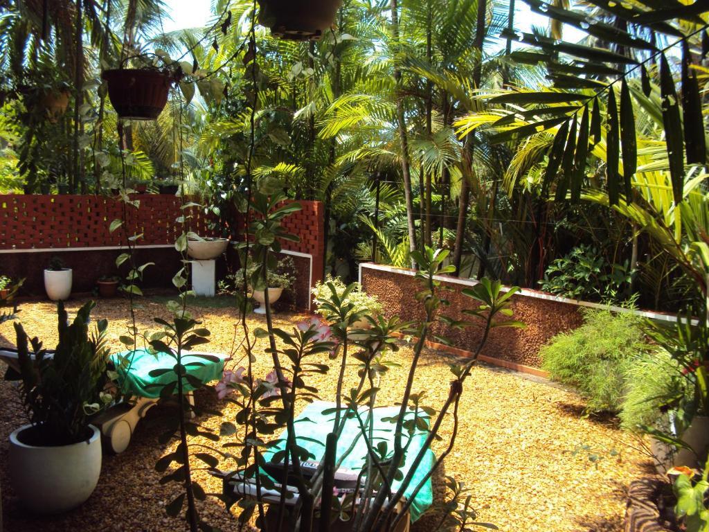 Angel Villa