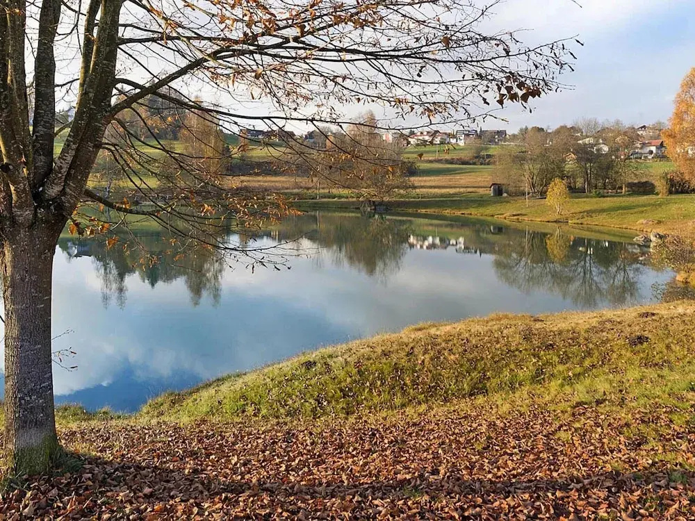 Ferienanlage Backerwiese in Neuschonau