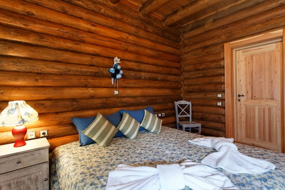 Superior Double room (twin beds)