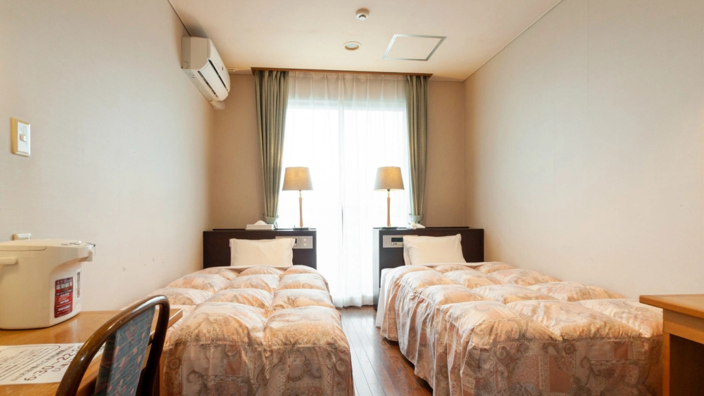 Standard Double room with mountain view (twin beds)