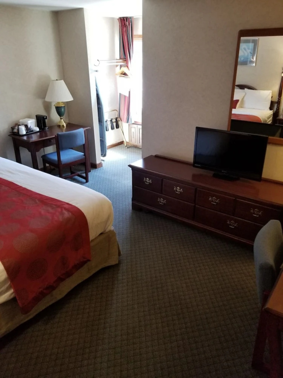 1 Bedroom Suite