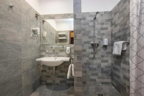 Erzsébet Park Hotel - фото 7