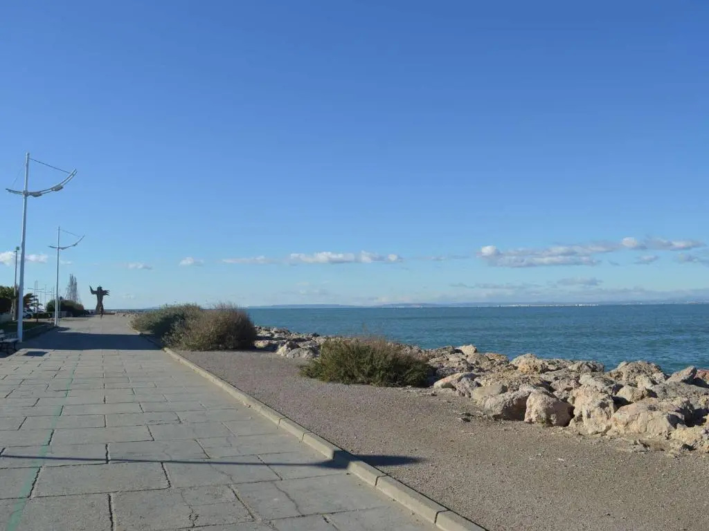 Afficher la photo 6 — Appartement Port Camargue, 1 pièce, 4 personnes - FR-1-250-22
