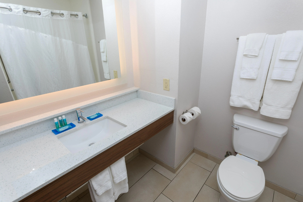 Holiday Inn Express Hotel & Suites Athens by IHG - Général