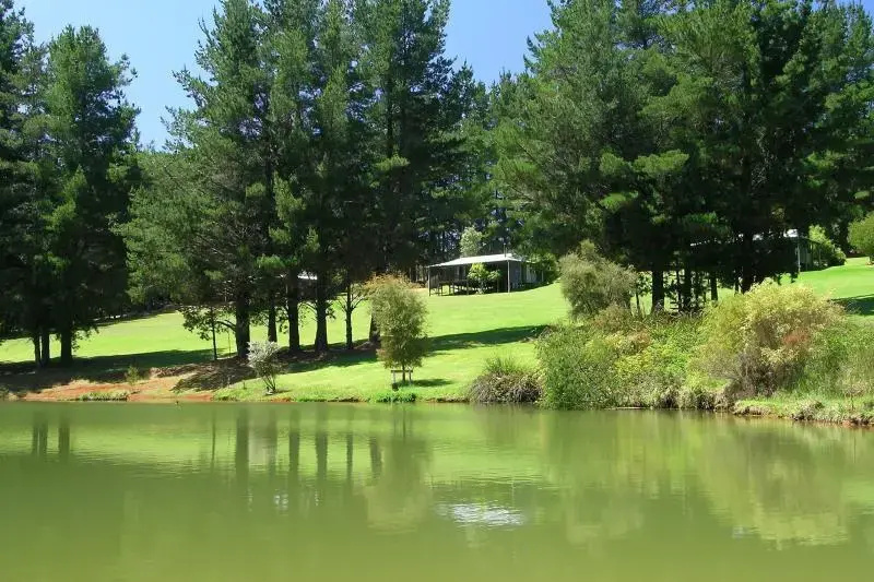 Hawke Brook Chalets - Général