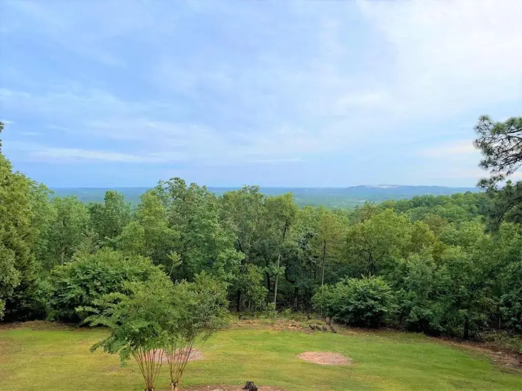 Mountain Top Inn and Resort - Général