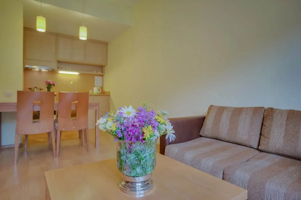 Malina Residence Hotel - Général