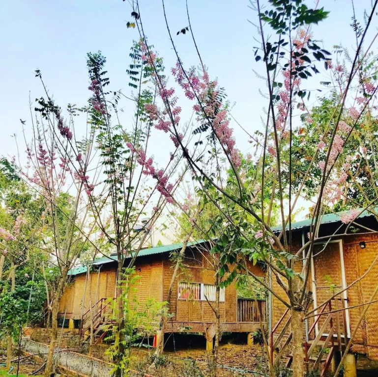 Spirit Garden Guesthouse