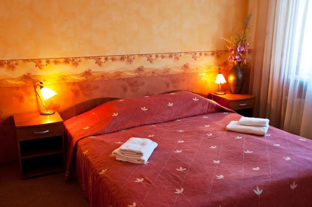 Standard Double room (full double bed)