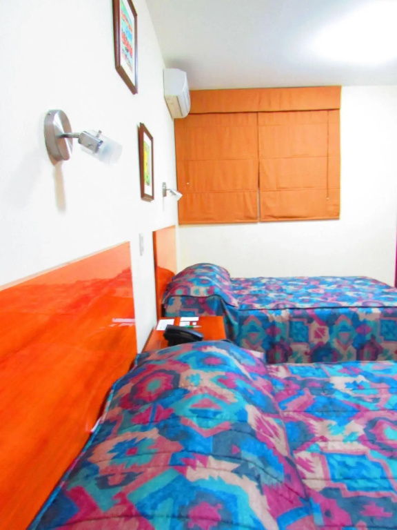 Palau Amazonas Hotel - Général