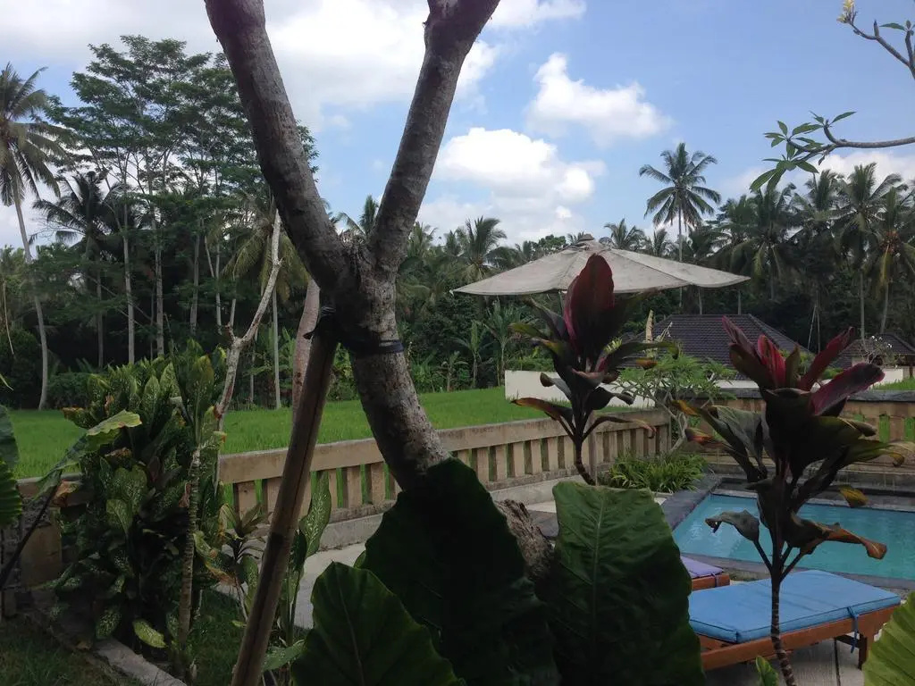 Ujung Ubud Guesthouse