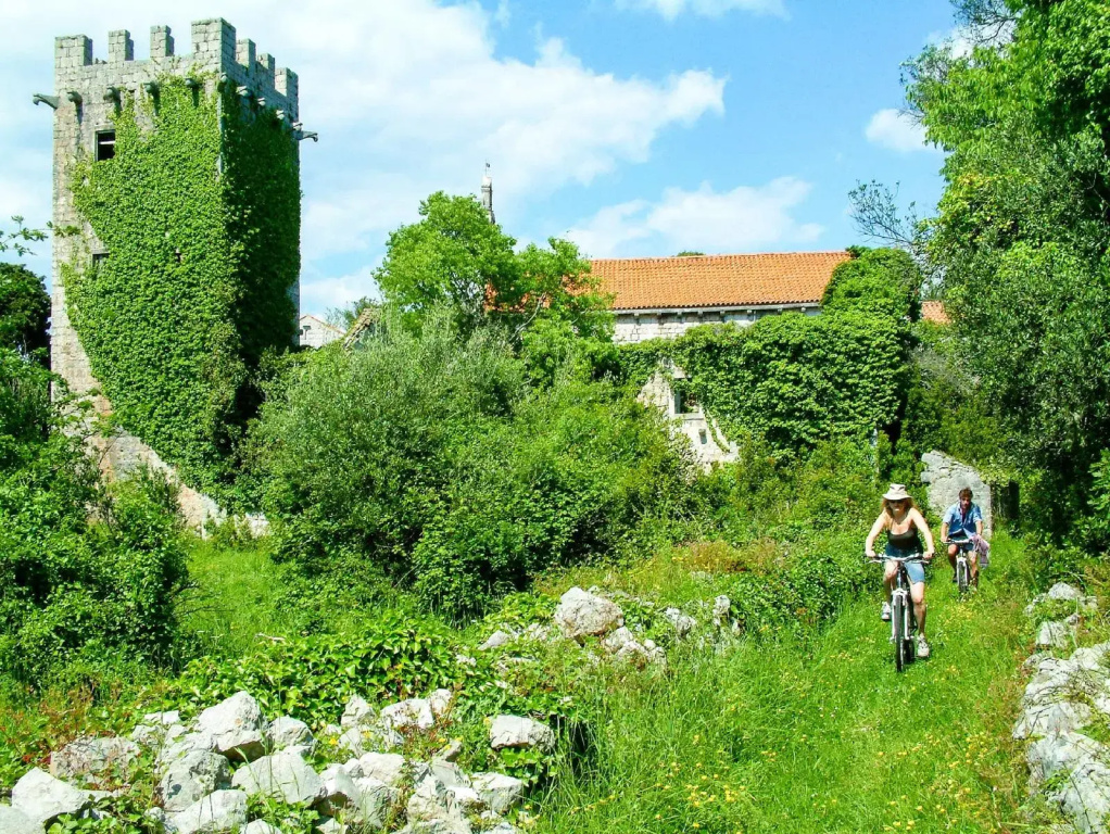 Hotel Bozica - Général