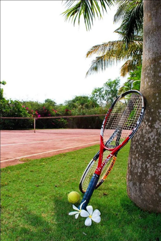 Coco Heritage Resort - Général