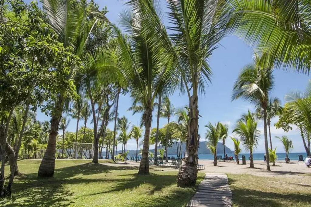 Barceló Tambor - фото 42