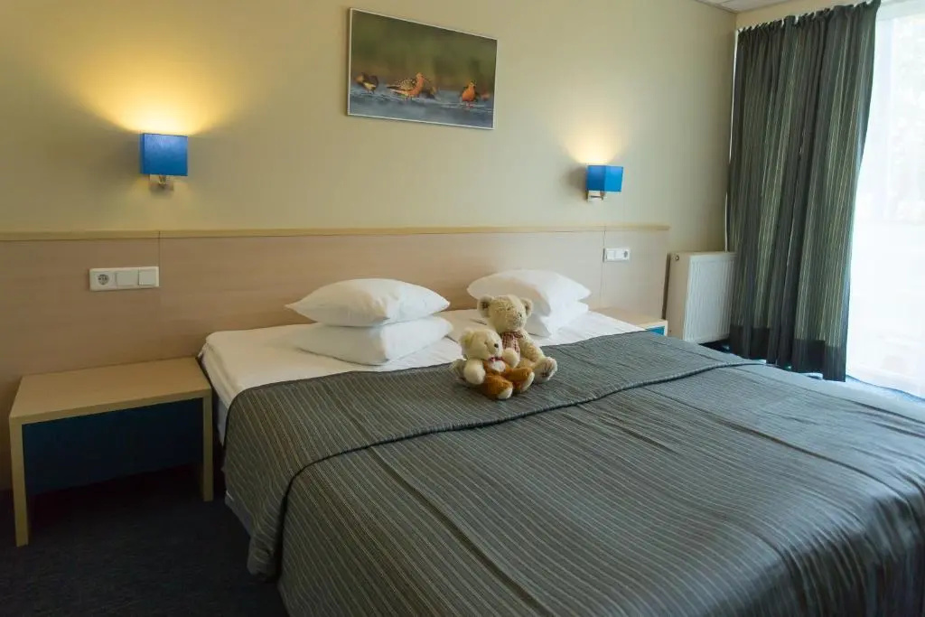 Asa Spa Hotel - Chambres