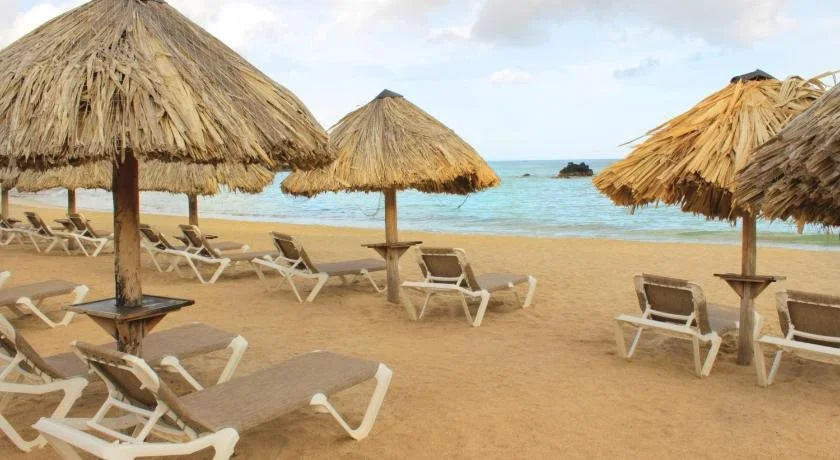 Hesperia Isla Margarita - Général