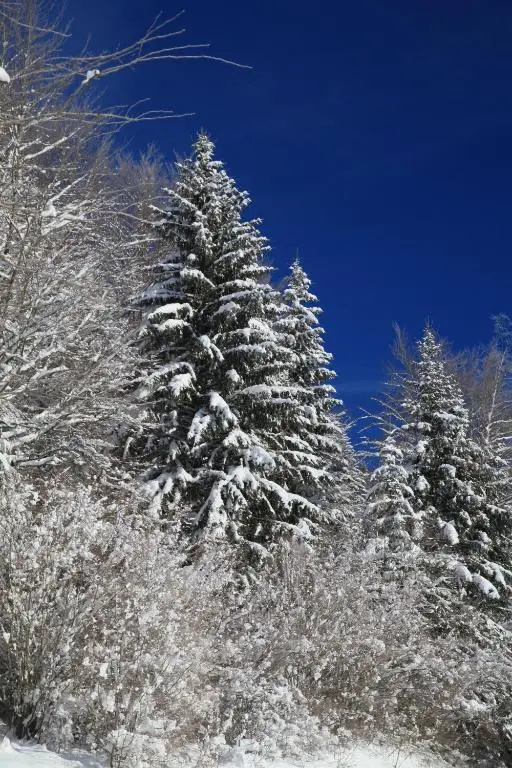 Voir la photo 4 — le refuge des Marmottes