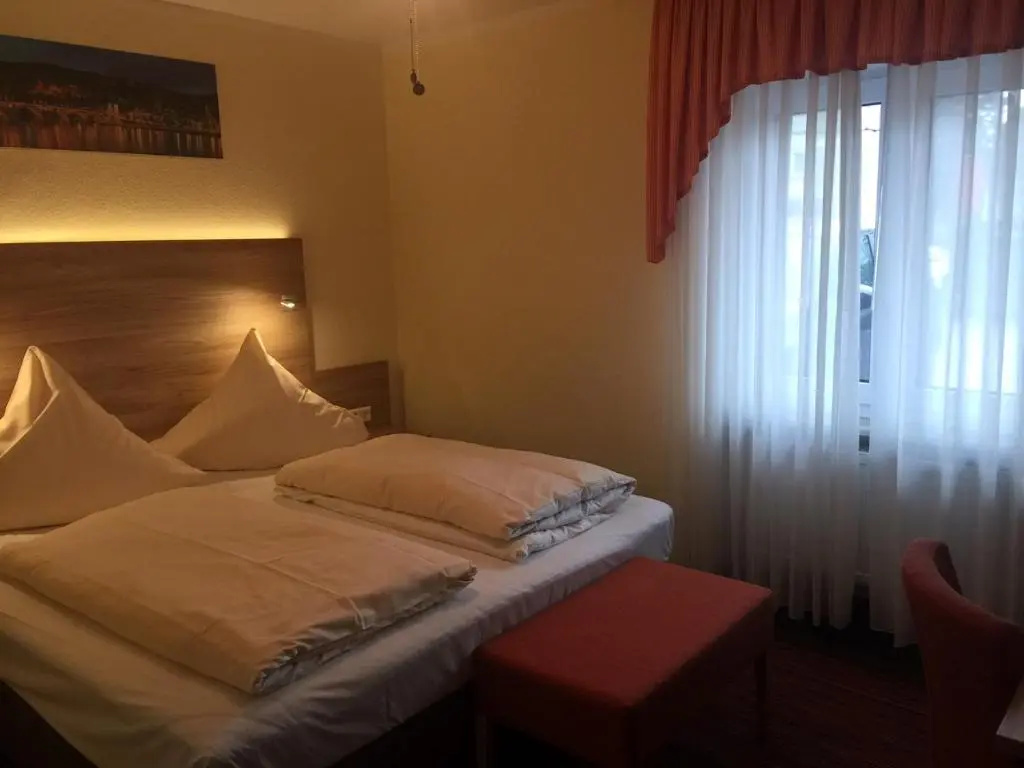 Hotel Rose Heidelberg — 3