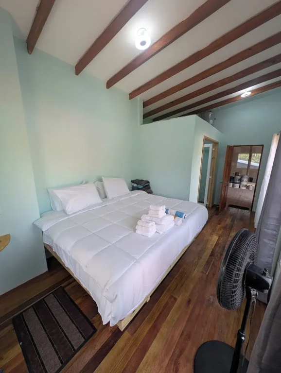 Premier Suite