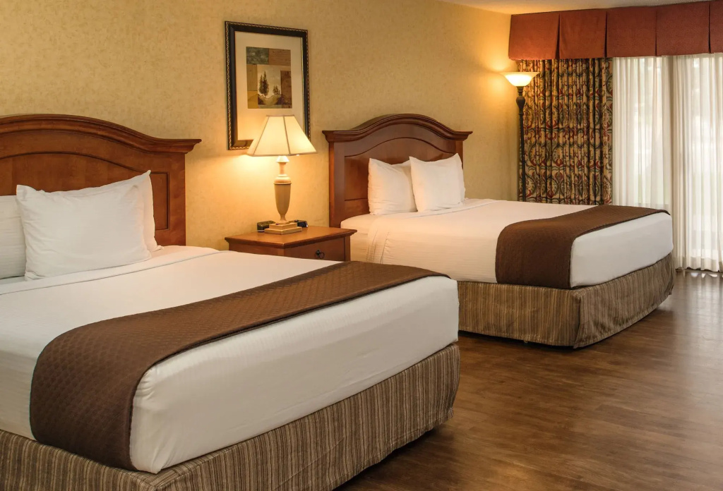 Hotel photo 7