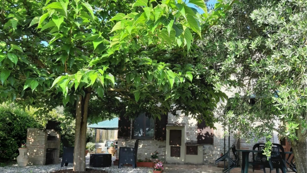 Cozy Farmhouse Near Montalcino-il Bosco