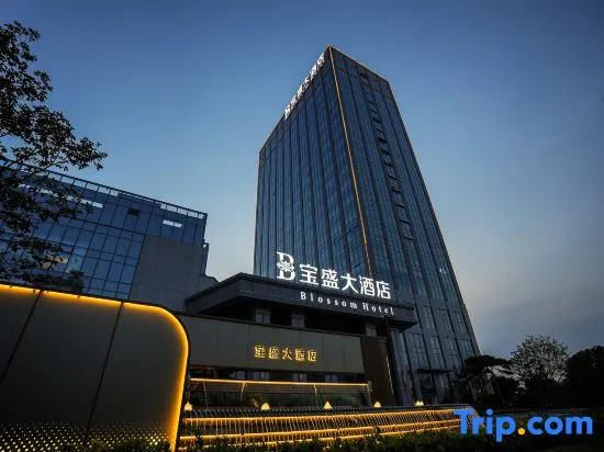 Ningyang Blossom Grand Hotel in Taian