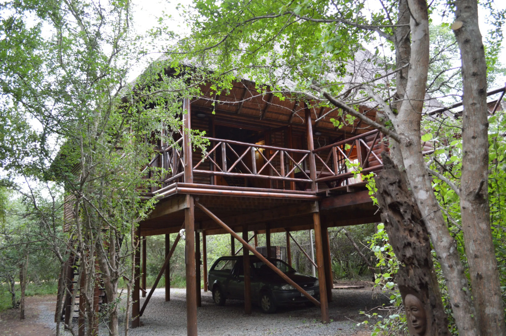 Lion Tree Bush Lodge
