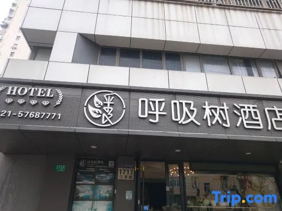 Breathing Tree Hotel (Shanghai Xinhua Hospital Jiangpu Road Subway Station Branch)