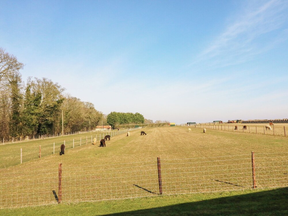 Alpaca Lodge