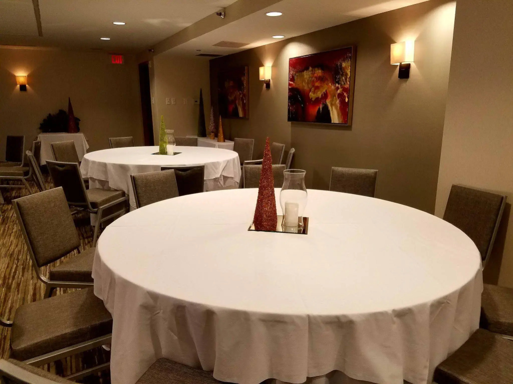 Holiday Inn Irving Las Colinas by IHG - Général
