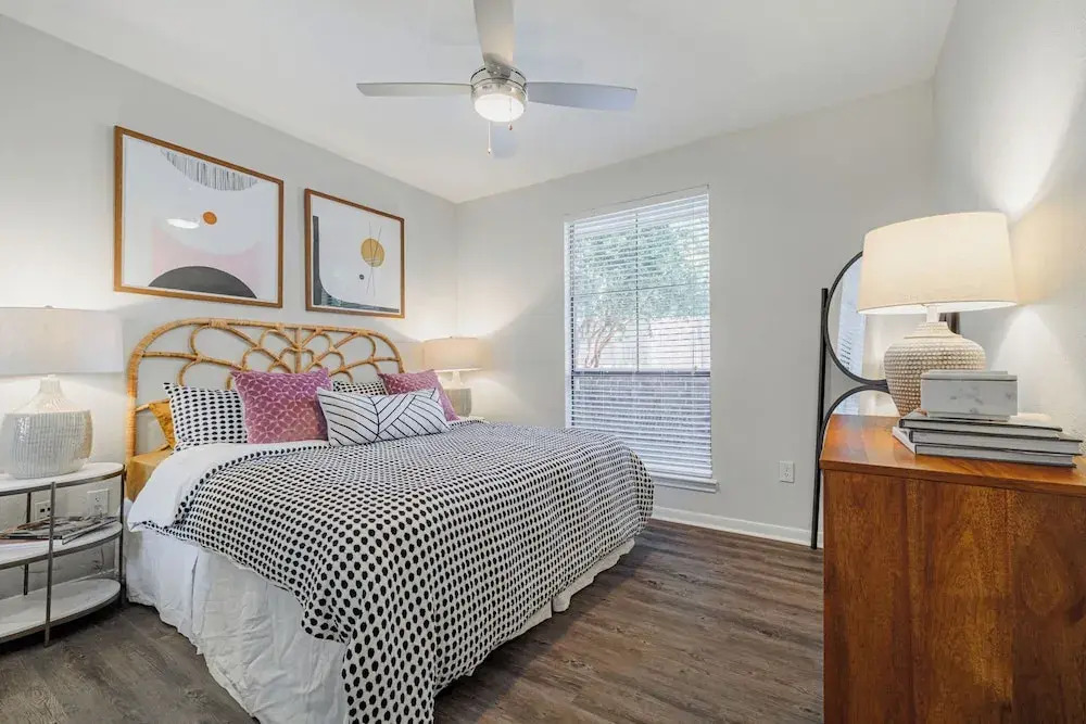 San Paloma — фото 5