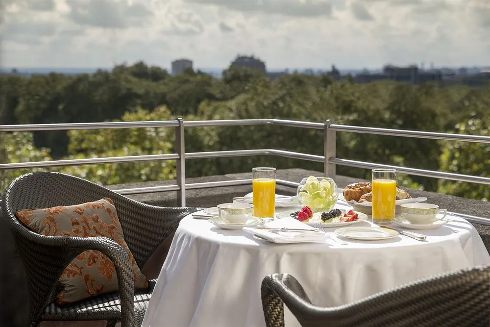 Balcony & Terrace