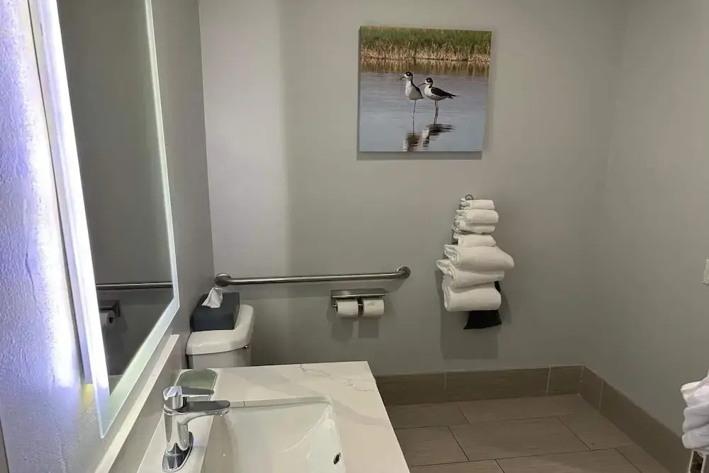 La Quinta Inn & Suites by Wyndham Alamo - McAllen East - Chambres