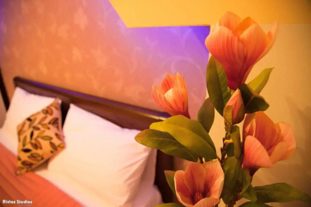 Hotel photo 10