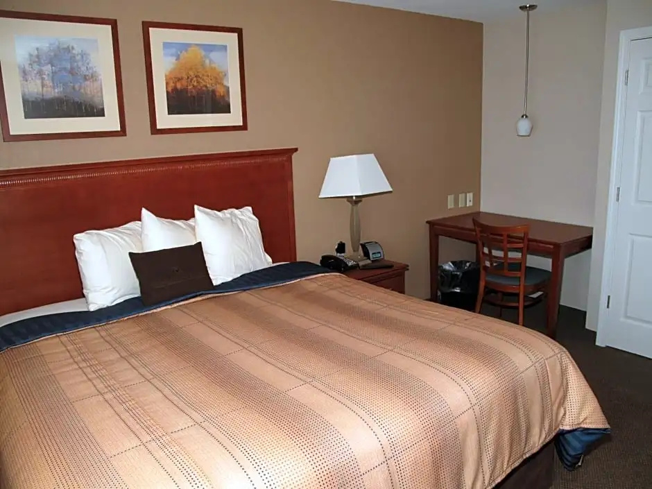 Double Studio (full double bed)
