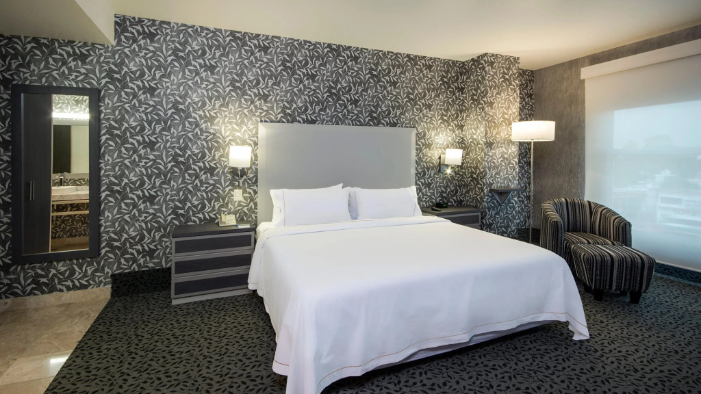 Holiday Inn Express Queretaro by IHG - Général