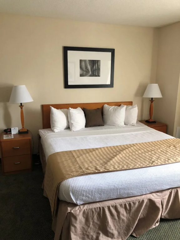 Capital Plaza Hotel - Chambres