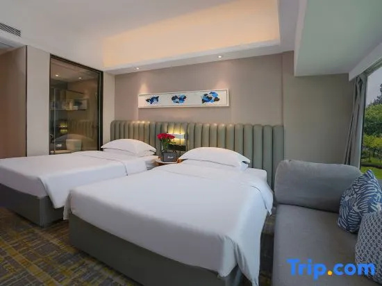 Standard Double room with city view (twin beds)