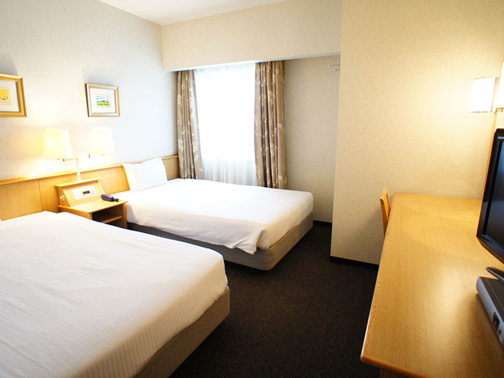 Standard Double room (twin beds)