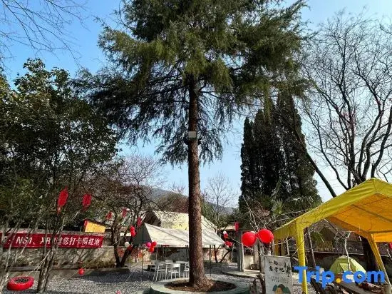 Tai Yi Dong Zhizhu homestay