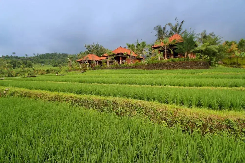 The Khana Sambangan - Général