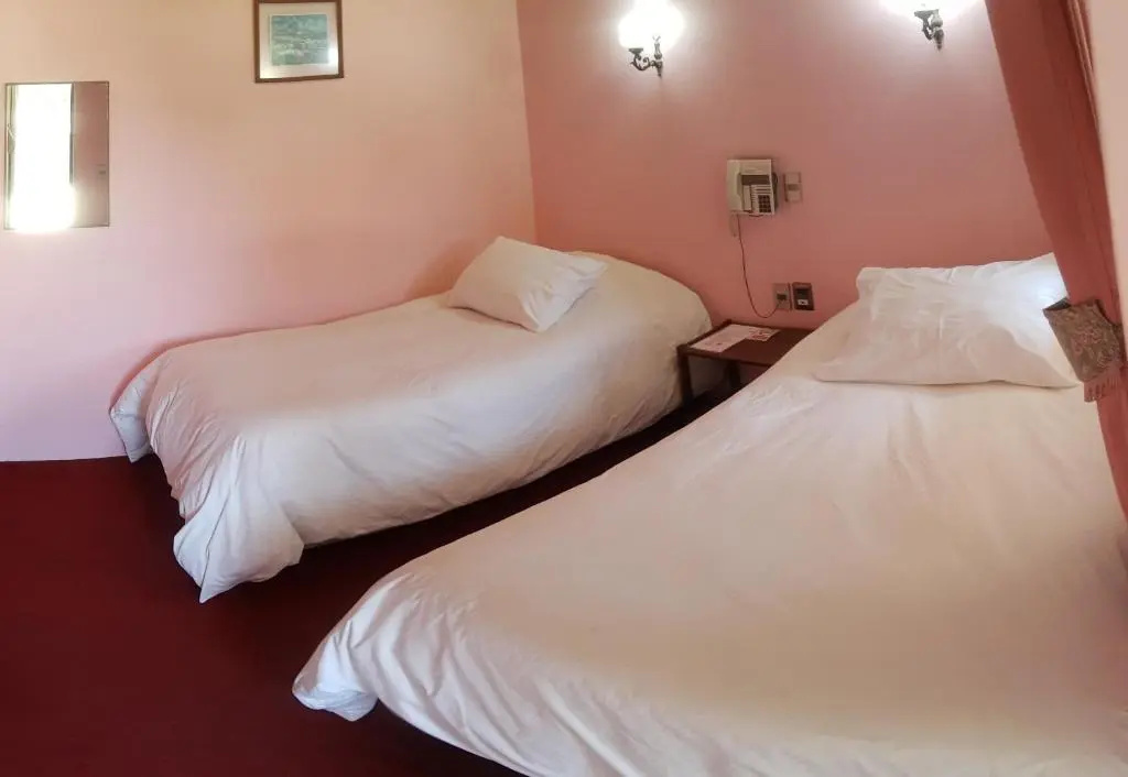 Standard Double room (twin beds)