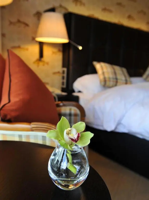 The Europe Hotel & Resort - Chambres