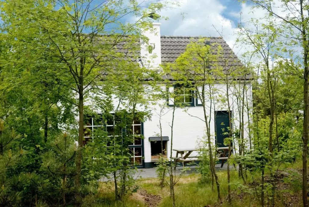 Comfort Cottage
