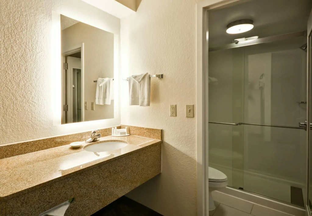 SpringHill Suites by Marriott San Antonio Medical Center/NW - Général