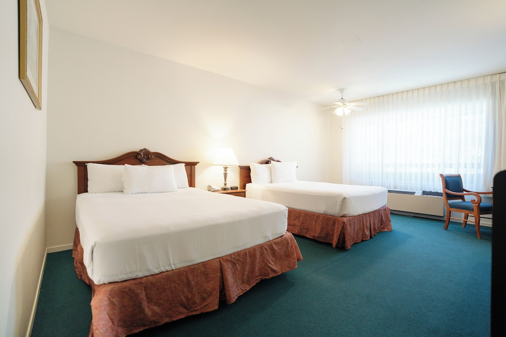 Hotel photo 33